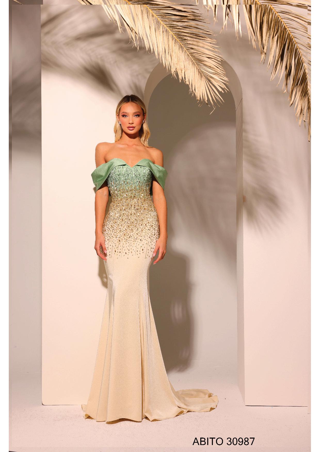 ABITO FABIANA FERRI 30987 – Boutique De Vivo Alta Moda dal 1977